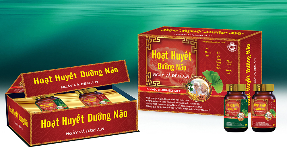 Hoạt huyết dưỡng não